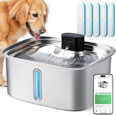 Smart stainless steel dog water fountain with app monitoring and 10L capacity
