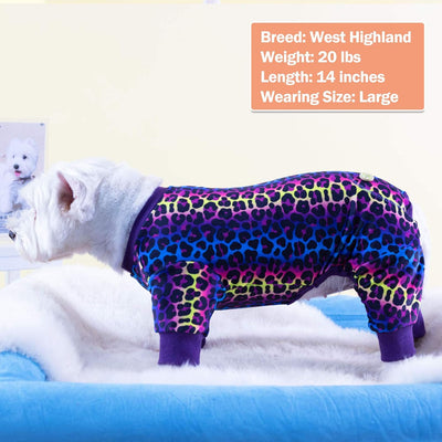 Rainbow Leopard Velvet Dog Pajamas