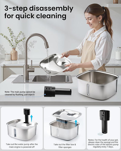 Smart Stainless Steel Dog Water Fountain System