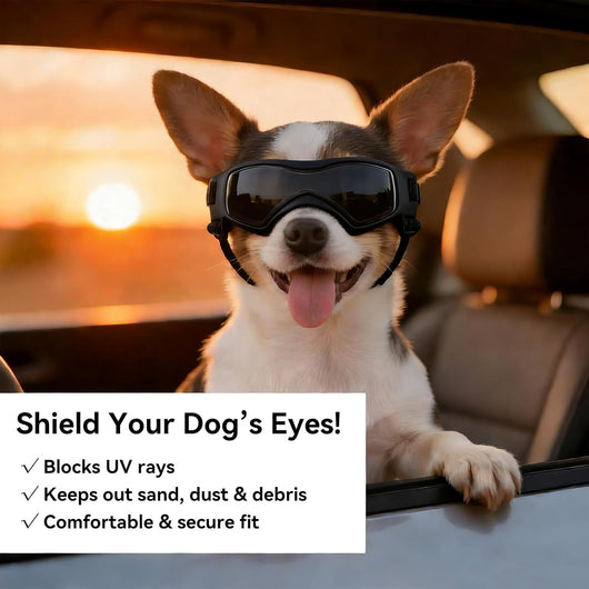 Dog Sunglasses I UV Protection