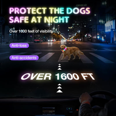 LED Dog Collar I Rechargeable Waterproof