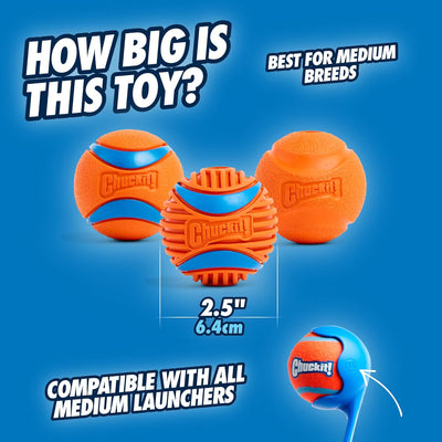 Chuckit! 2.5" Medium Fetch Balls I 3-Pack