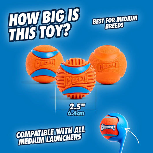Chuckit! 2.5" Medium Fetch Balls I 3-Pack