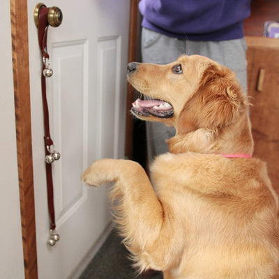 Elegant Leather Puppy Potty Training Doorbells Set