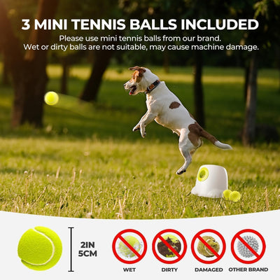 Automatic Dog Ball Launcher | Small Dog Fetch Toy