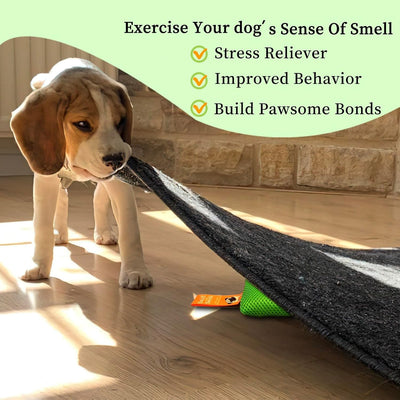 Nose Work Scent Training Kit For Calmer Dogs