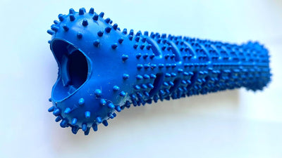 Interactive Dog Dental Chew Toy