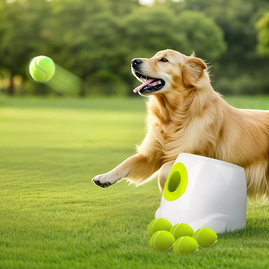 Automatic Dog Ball Launcher | Rechargeable Fetch Toy