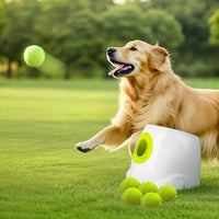 Automatic Dog Ball Launcher | Rechargeable Fetch Toy