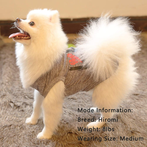 Matching Dog & Owner Christmas Pajamas | Family Pet Outfit Set with Bandana