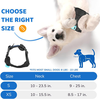 Small Dog Bark Control Vest I Rechargeable No Bark Device
