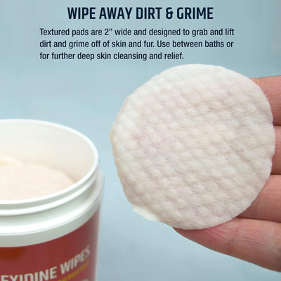 Aloe Pet Topical Wipes Skin Coat Cleanser