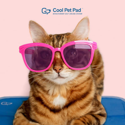 Cooling Dog Mat For Large Breeds