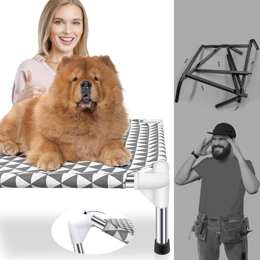 Elevated Outdoor Dog Bed With Cotton Surface