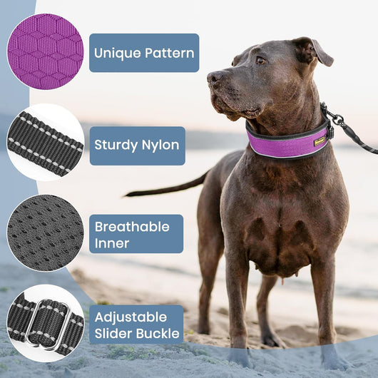Adjustable Martingale Training Collar, Reflective I Waterproof