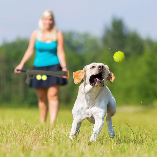 Dog Ball Launcher With Shoulder Strap