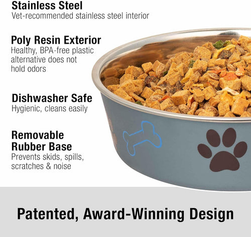 Stainless Steel Dog Bowl I Spill Proof I Blueberry