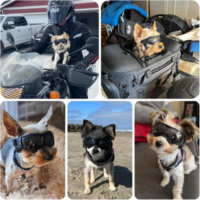 Dog Sunglasses I UV Protection