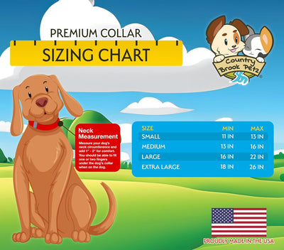 Premium Nylon Dog Collar with Metal Buckle