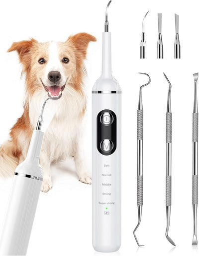 Rechargeable ultrasonic dog toothbrush dental cleaning kit with LED light and interchangeable dental tools