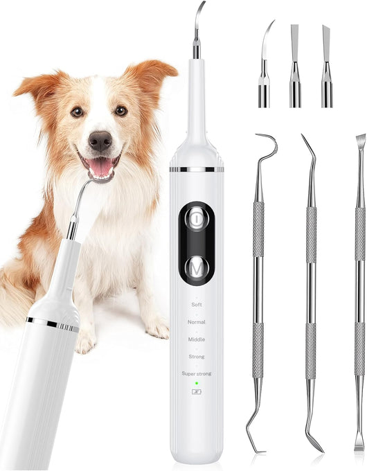 Rechargeable ultrasonic dog toothbrush dental cleaning kit with LED light and interchangeable dental tools