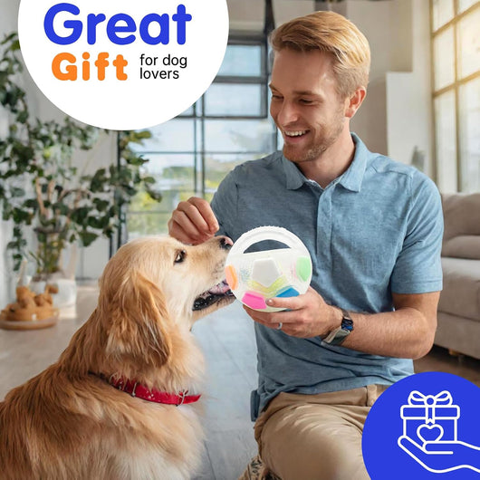 Floating Squeaky Dog Ball for Water Adventures