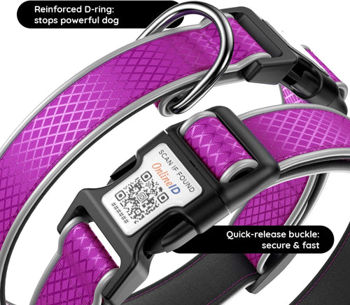 Dog Collar with AirTag Holder I Waterproof