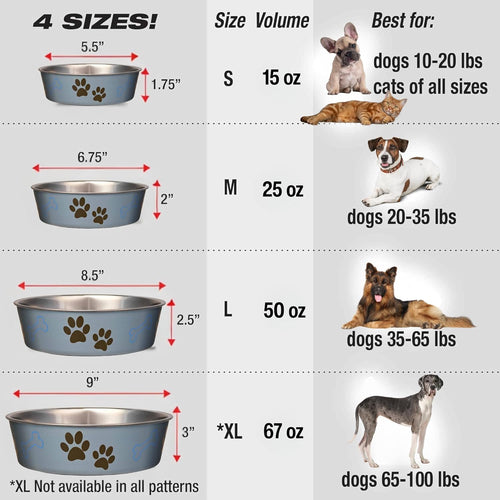 Stainless Steel Dog Bowl I Spill Proof I Blueberry