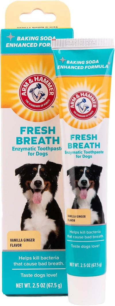 Vanilla ginger enzymatic dog toothpaste for use with dog toothbrush and finger brush