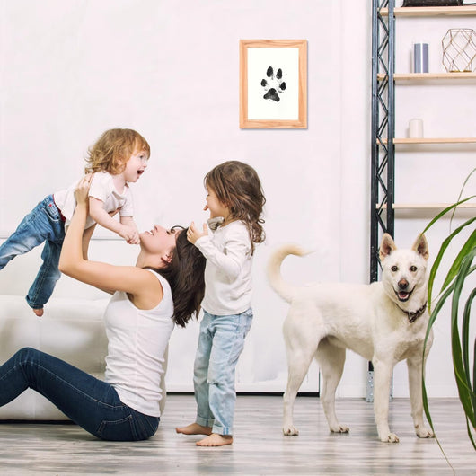 Zone Inkless Paw Print Kit For Pets