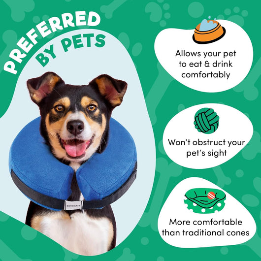 Inflatable Dog Cone Collar | Soft Donut Recovery