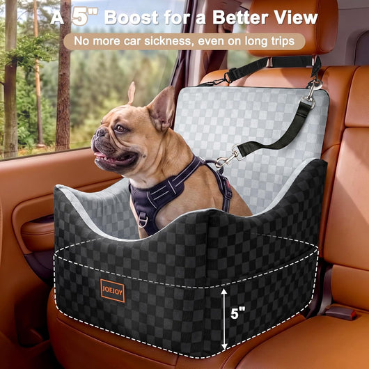 Small dog resting comfortably inside elevated car booster seat