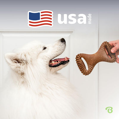 Benebone Bacon Dental Chew for Aggressive Dogs