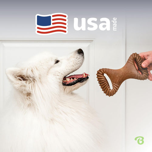 Benebone Bacon Dental Chew for Aggressive Dogs