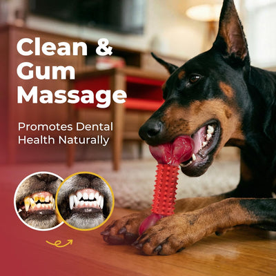 Tough Dog Chew Toy I Durable Bone for Large Dogs