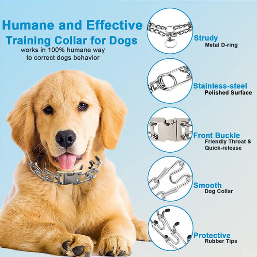 Quick-Release Adjustable Stainless Steel Dog Collar