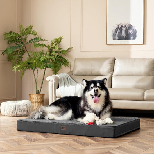 XL Orthopedic Dog Bed I Washable Crate Mat