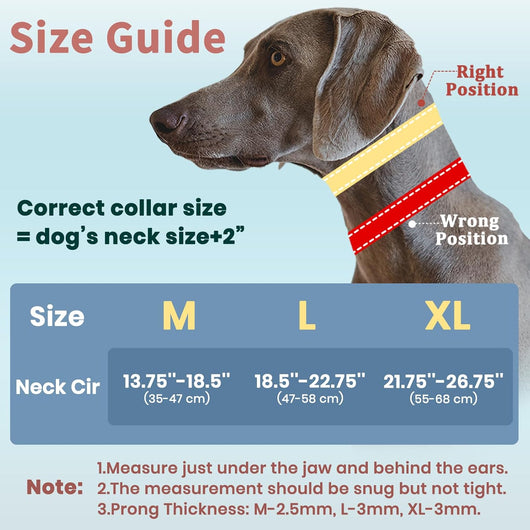 Adjustable Martingale Training Collar, Reflective I Waterproof