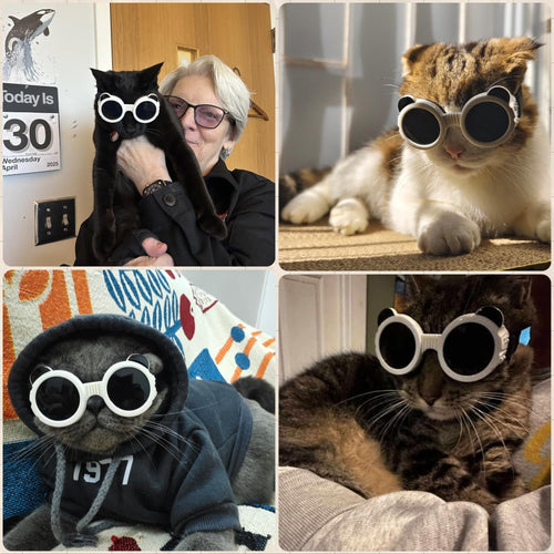 Dog Sunglasses UV Protection Cute Small Dogs