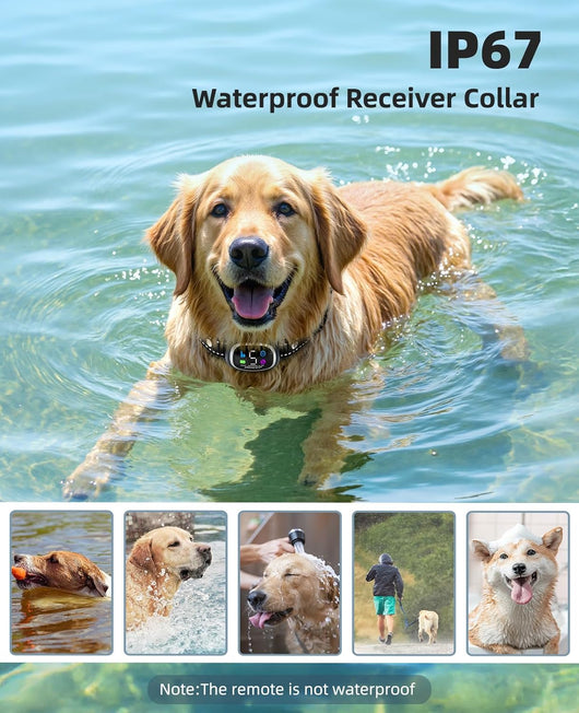 2-in-1 Dog Shock & Bark Collar with Remote I 3300FT Waterproof