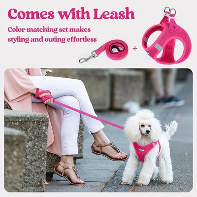 Step In Puppy Harness With Leash Walking Set