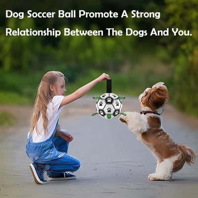 Dog Soccer Ball 6" I Tug & Water Toy