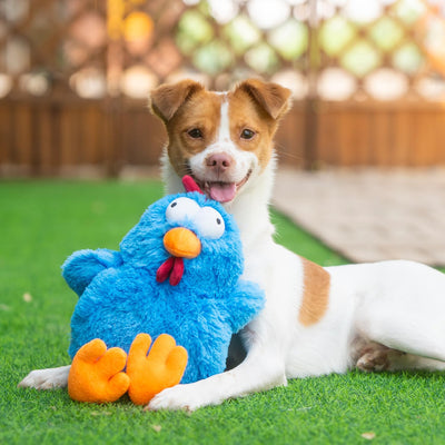 Squeaky Crinkle Chicken Dog Toy