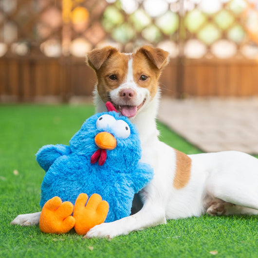 Squeaky Crinkle Chicken Dog Toy