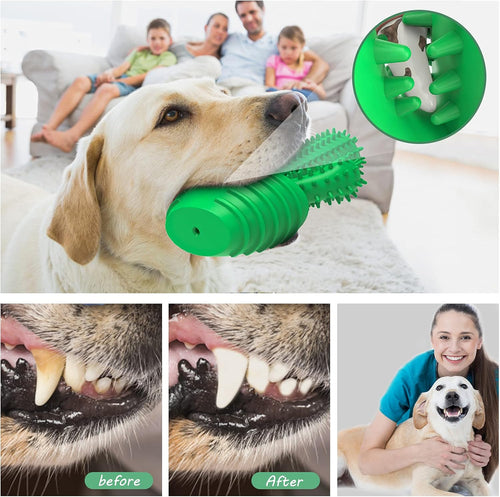 Squeaky Dog Toothbrush Toy for Aggressive Chewers