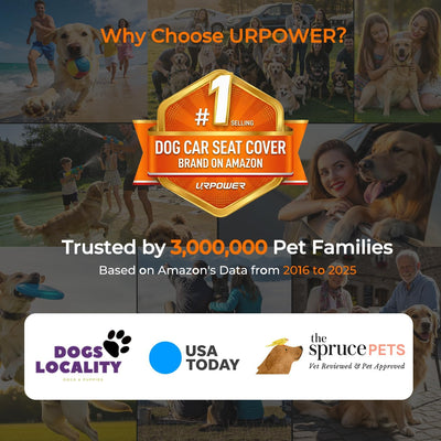 Waterproof Dog Car Seat Cover Non Slip