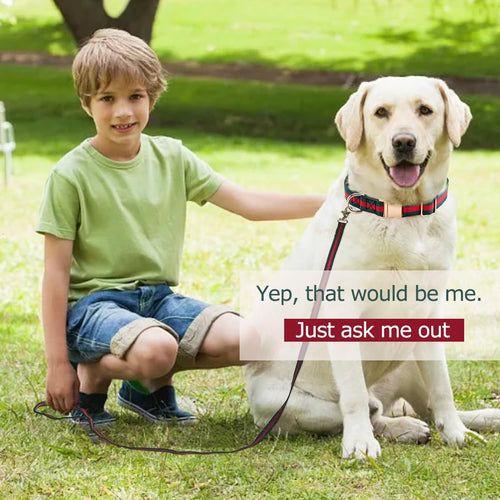 Dog Collar Set | Adjustable Durable Leash & Metal Buckle