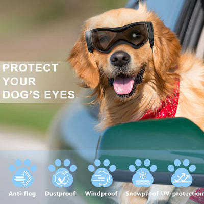 Adventure Dog Goggles