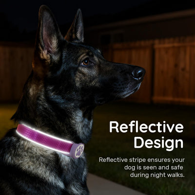 Dog Collar with AirTag Holder I Waterproof