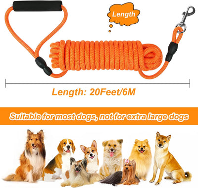 Leash Floating Recall Freedom For Active Dogs